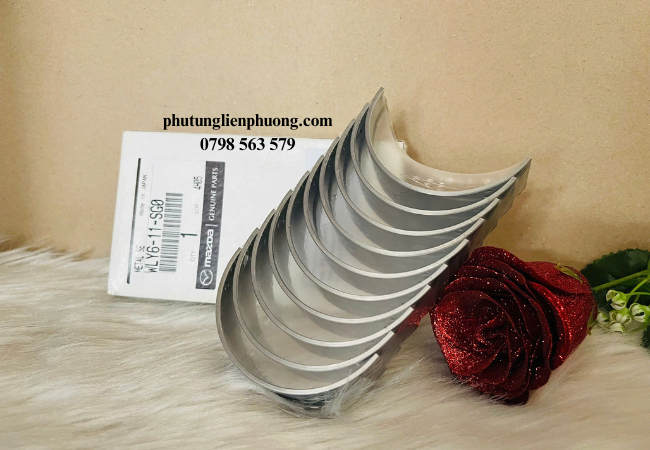 Bạc biên Ranger Everest giúp chuyển đổi chuyển động quay thành chuyển động tịnh tiến một cách hiệu quả. Bạc biên Ranger Everest giúp chuyển đổi chuyển động quay thành chuyển động tịnh tiến một cách hiệu quả.