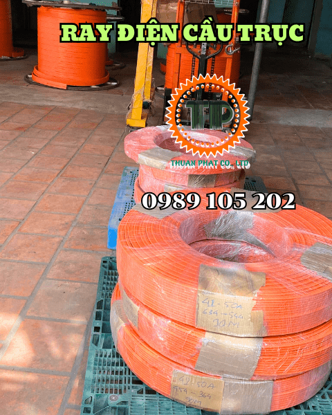 Ray điện cầu trục