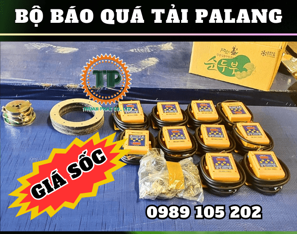 Thiết bị báo quá tải palang cầu trục là gì? Thiết bị báo quá tải palang cầu trục là gì?