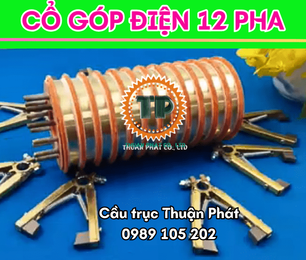 Cổ góp điện 12 pha trục 60 Cổ góp điện 12 pha trục 60
