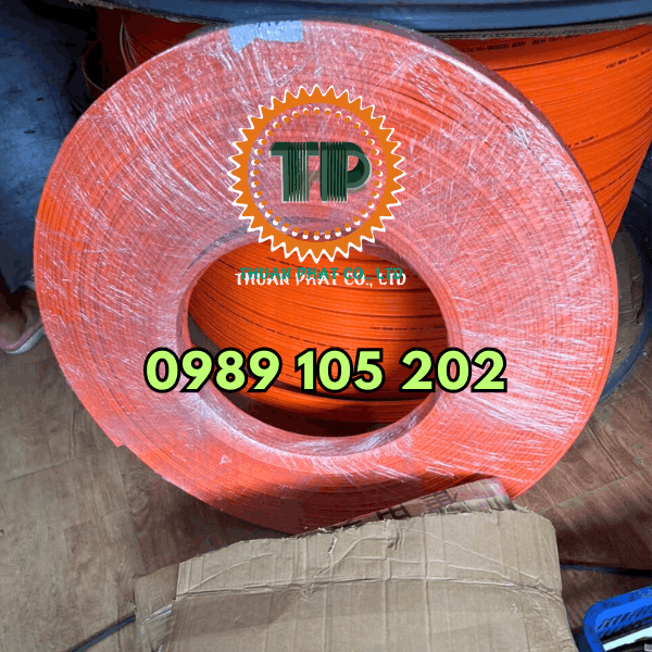 Ray điện 3P Ray điện 3P