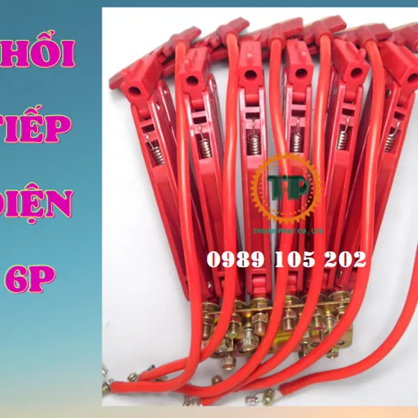 Chổi tiếp điện cầu trục 6P-100A 