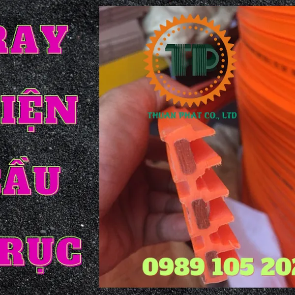 Ray điện 3P100A