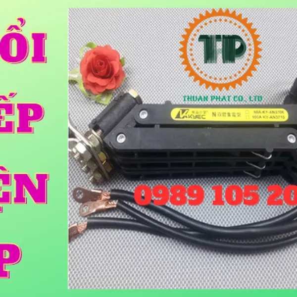 Chổi tiếp điện 3P100A