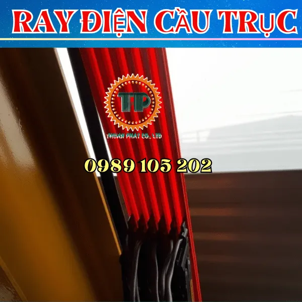 Ray điện cầu trục 