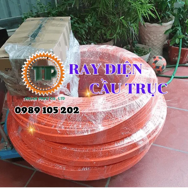 Ray điện an toàn cầu trục Hard Work