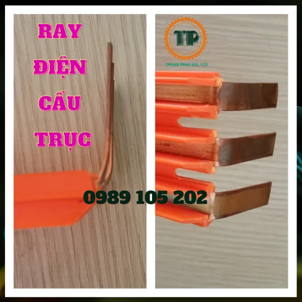 Ray điện an toàn cầu trục 3P50A 