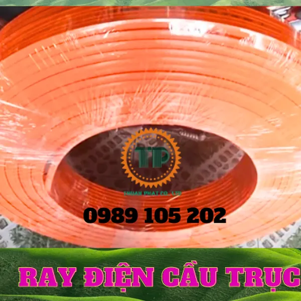 Ray dẫn điện cầu trục 3P100A