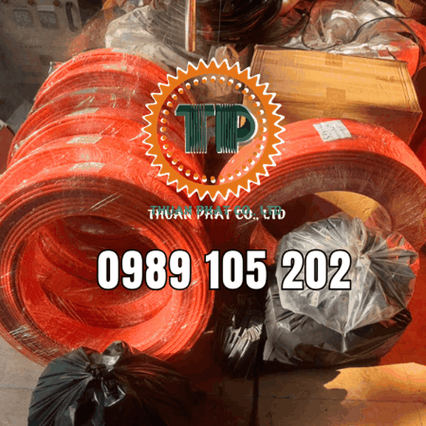 Ray điện cầu trục 6P-50A 