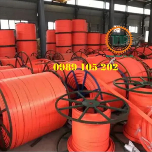 Ray điện cầu trục