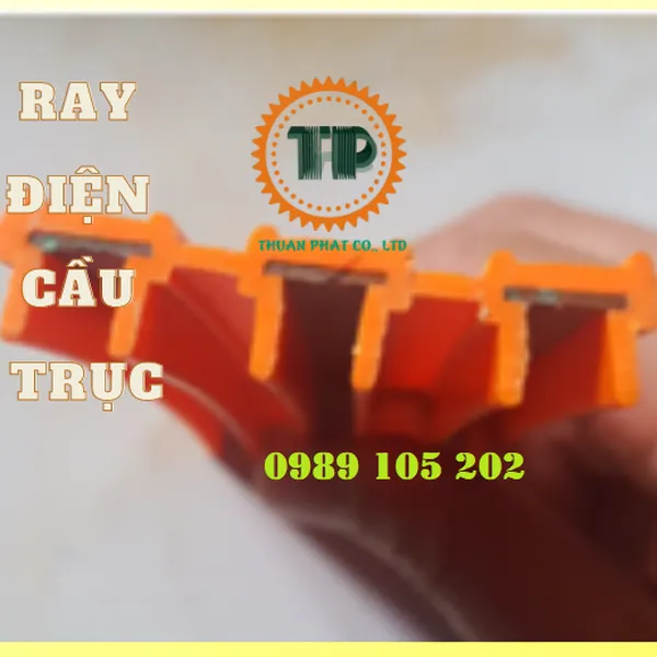 Ray điện cầu trục 3P50A