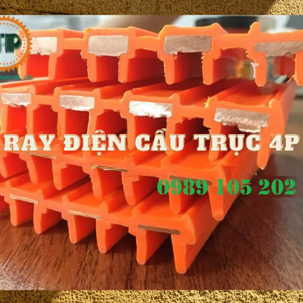 Ray điện cầu trục 4P100A