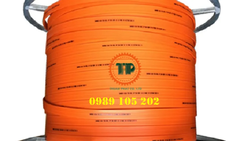 Ray điện cầu trục của Đài Loan