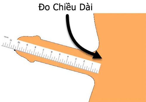 Dương vật bao nhiêu cm là đủ? Dương vật bao nhiêu cm là đủ?