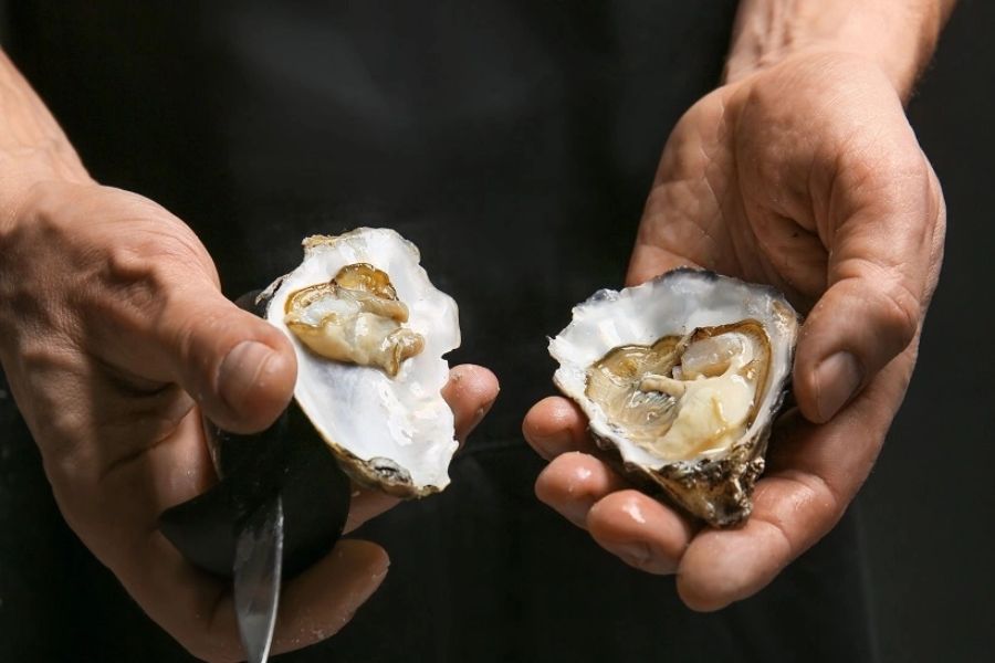 Hàu là gì và tại sao được liên kết với sinh lý nam? Hàu là gì và tại sao được liên kết với sinh lý nam?