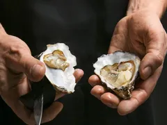 Ăn hàu có thực sự tốt cho sinh lý nam? Mr1985