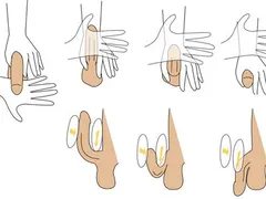 Cách làm cho cậu nhỏ to dài tự nhiên