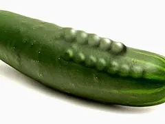 Gắn bi có thực sự tăng khoái cảm?