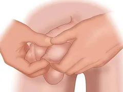 Dương vật là gì? Dương vật có tác dụng gì đối với nam giới? Mr1985