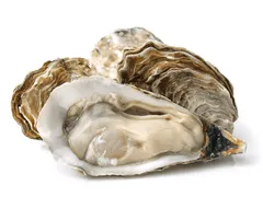 7 loại thực phẩm tăng kích thích tình dục