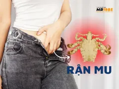 Rận mu là gì? Các nguyên nhân mắc rận mu?