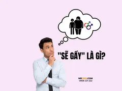 Sẽ gầy là gì?
