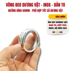 VÒNG INOX LÂU XUẤT TINH - BẢN TO