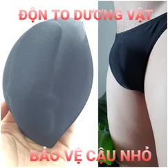 2 MIẾNG ĐỘN TO DƯƠNG VẬT