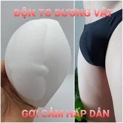 2 MIẾNG ĐỘN TO DƯƠNG VẬT