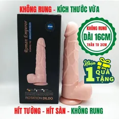 Dương vật hít tường 16CM - Tặng kèm 1 chai Gel KY 50g