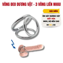 VÒNG ĐEO DƯƠNG VẬT - 3 VÒNG INOX