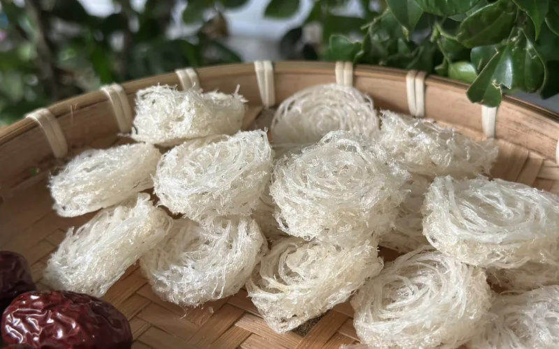 Công dụng đáng kinh ngạc của yến sào mà bạn chưa biết đến