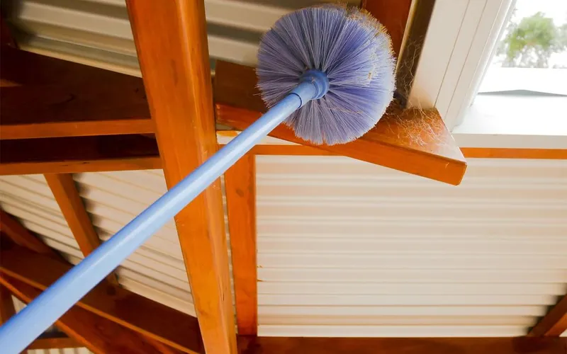 Quét Màng Nhện Trên Cao Có Nguy Hiểm Không? Tìm Hiểu Nguyên Nhân và Giải Pháp