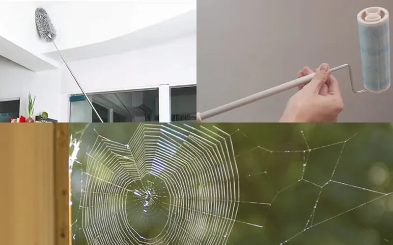 Dịch vụ quét màng nhện giá rẻ: Giải pháp tiết kiệm cho ngôi nhà sạch sẽ