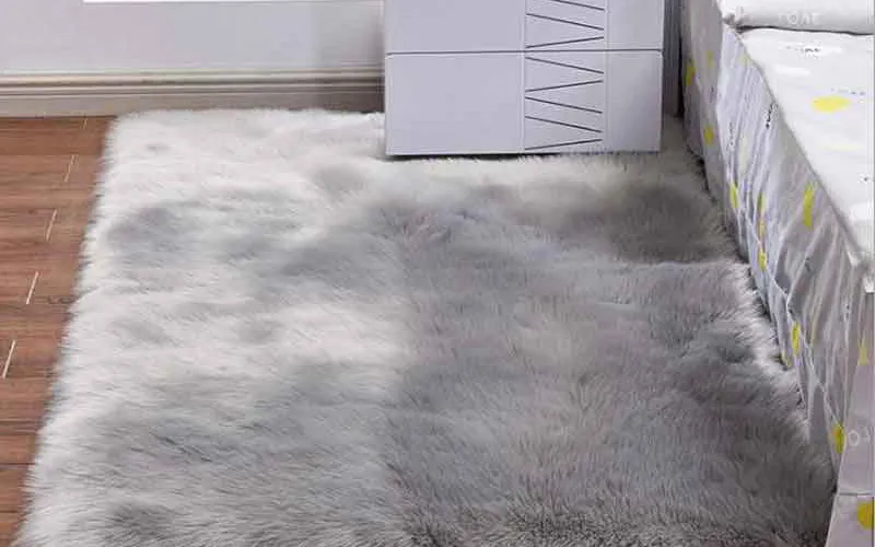 Dịch vụ giặt thảm giá rẻ: Giải pháp tiết kiệm cho không gian sống của bạn