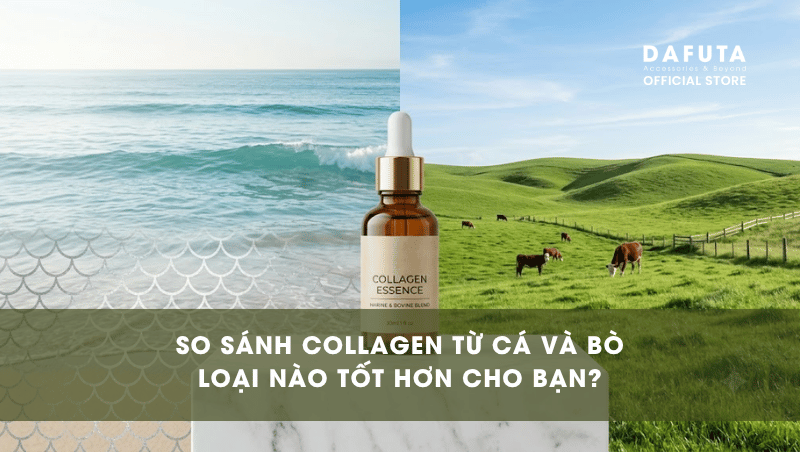 So sanh collagen cá và bò. Loại nào tốt hơn?