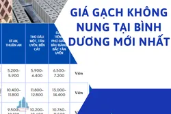 Giá Gạch Không Nung Tại Bình Dương Mới Nhất