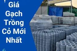 Giá Gạch Trồng Cỏ Mới Nhất