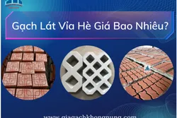 Gạch Lát Vỉa Hè Giá Bao Nhiêu?