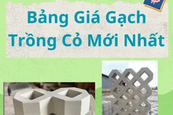 Bảng Giá Gạch Trồng Cỏ Mới Nhất