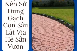 6 Lý Do Nên Sử Dụng Gạch Con Sâu Lát Vỉa Hè Sân Vườn