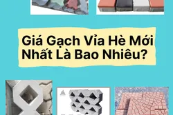 Bảng Giá Gạch Vỉa Hè Mới Nhất Là Bao Nhiêu?