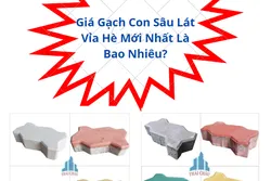 Giá Gạch Con Sâu Lát Vỉa Hè Mới Nhất Là Bao Nhiêu?