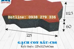 KINH NGHIỆM CHỌN GẠCH CON SÂU CỦA MỘT CHUYÊN GIA