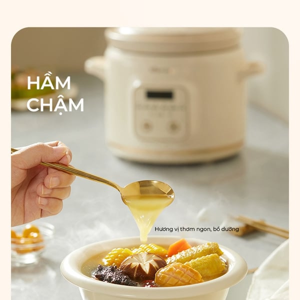 Nồi Nấu Chậm Dung Tích 2L Bear SC-4H20Q (DDG-E20M1), Đa Năng Hầm Ninh, Chưng Yến, Kho, Có Giữ Ấm, BH 18 Tháng