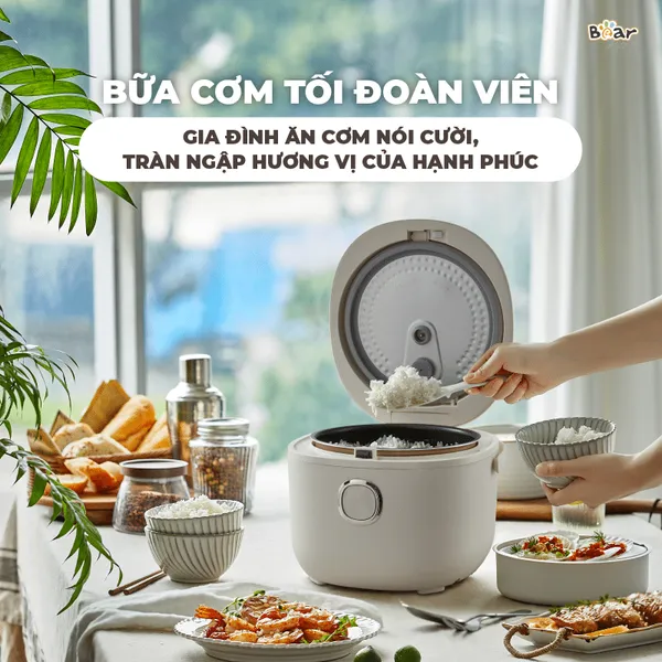 Nồi cơm điện đa năng 3L Bear DFB-P30N5