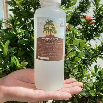 KEFIR DỪA