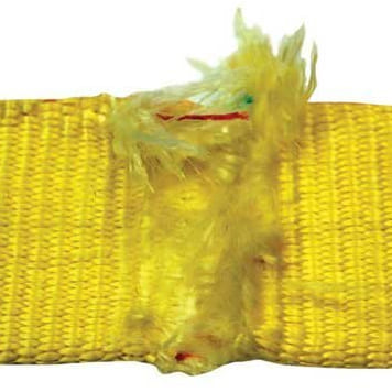 Nhận biết dây bẹ cẩu hàng bị hư hỏng