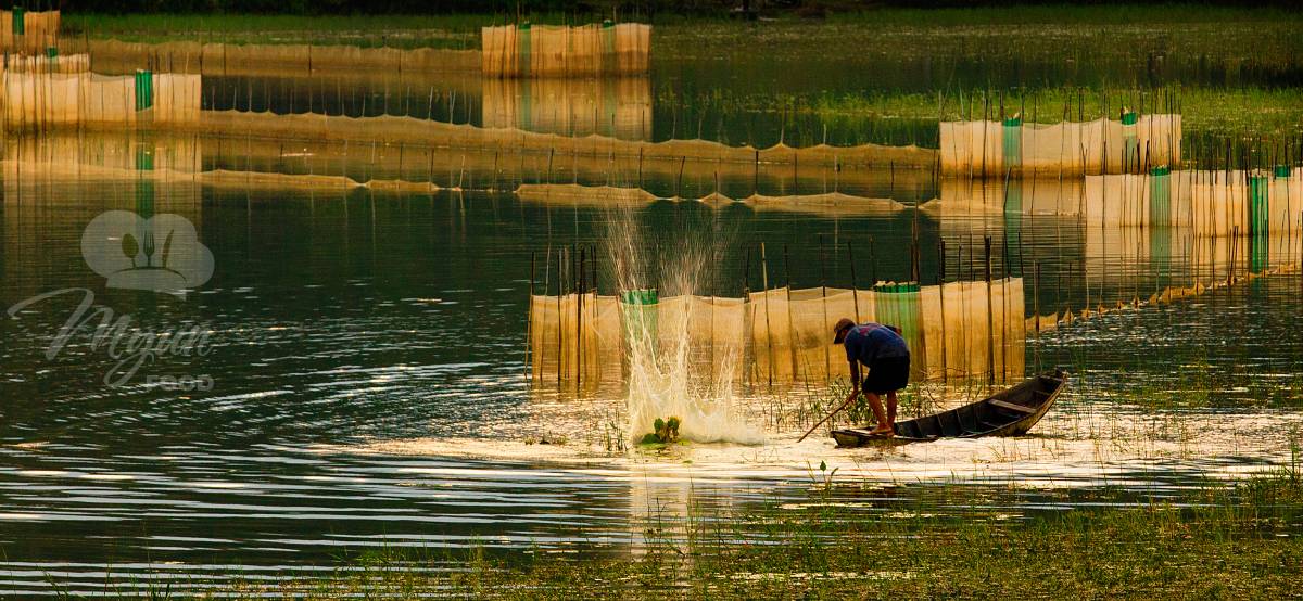 Hồ Lăk - Hành trình tìm về vẻ đẹp nguyên sơ của Tây Nguyên, trải nghiệm bình yên khi du lịch Đăk Lăk