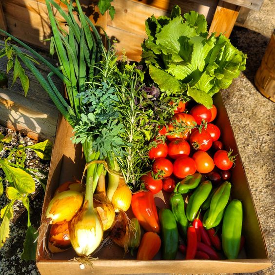 thuc pham sach tranfood thuc pham sach tranfood